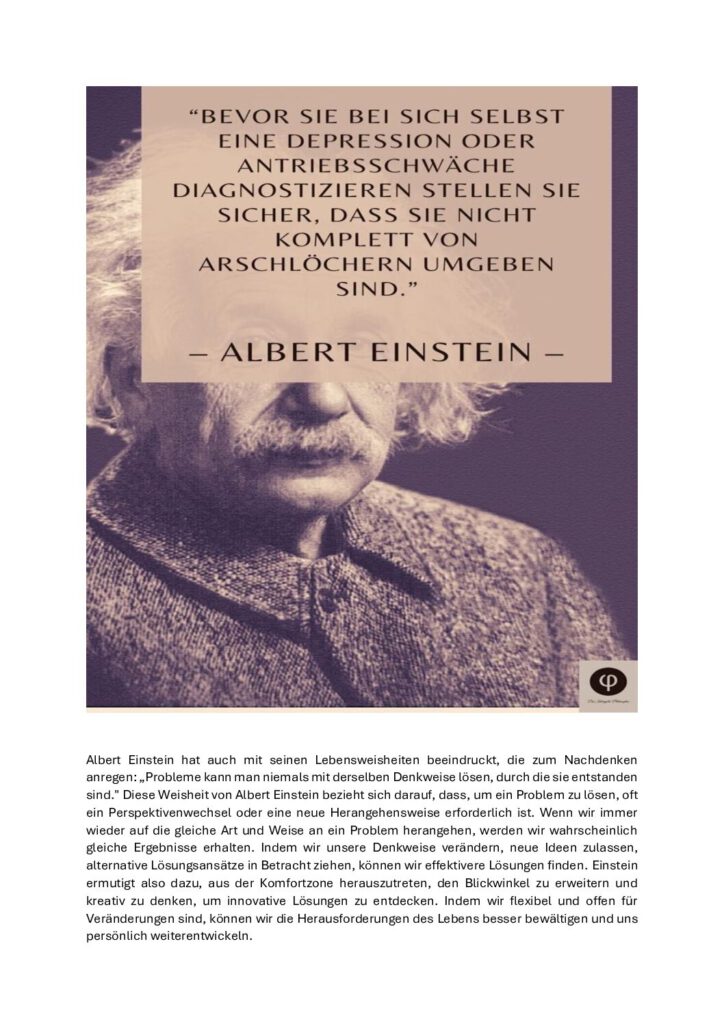 thumbnail of Einstein und Perspektivenwechsel